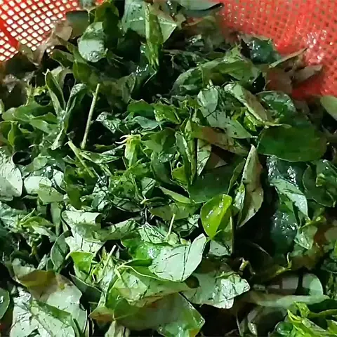 Sơ Chế Nguyên Liệu Sơ Chế Nguyên Liệu