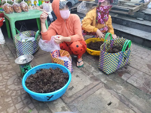 Ngày Tết Về Phú Yên, Đừng Quên Ăn Canh Rong Mứt Biển - Ảnh 2.