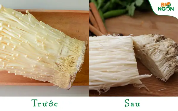 Cách sơ chế Nấm Kim Châm