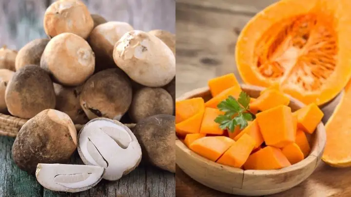 Cách Chọn Bí Đỏ Ngon, Chất Lượng