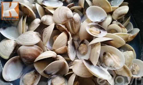 Những ngày nắng nóng thì canh ngao nấu sấu chính là giải pháp tuyệt hay cho bữa cơm gia đình. Những ngày nắng nóng thì canh ngao nấu sấu chính là giải pháp tuyệt hay cho bữa cơm gia đình.