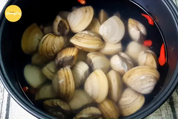 Nấu Canh Ngao Đậu Phụ Nấm Kim Châm Siêu Ngon