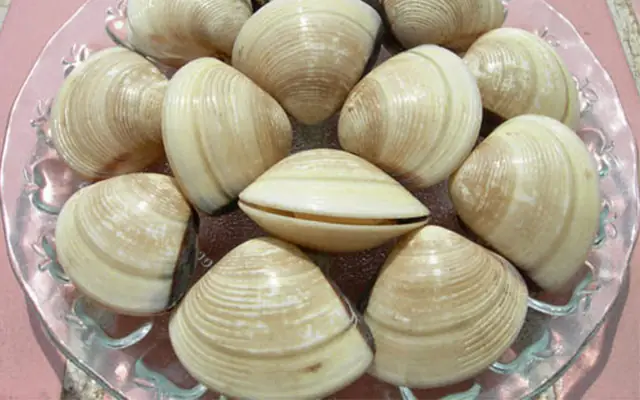 3 cách nấu canh ngao chua ngon nhất định nên có trong sổ tay nấu bếp của bạn 3 cách nấu canh ngao chua ngon nhất định nên có trong sổ tay nấu bếp của bạn