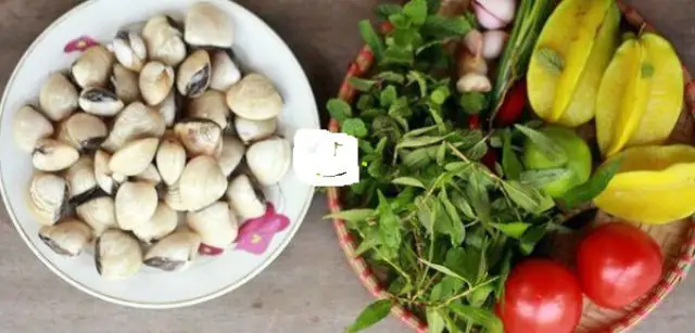 Video đang HOT Video đang HOT