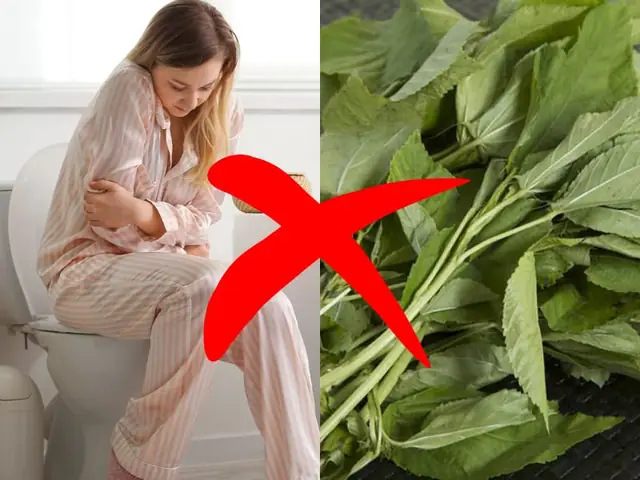 Người Có Hệ Tiêu Hóa Kém