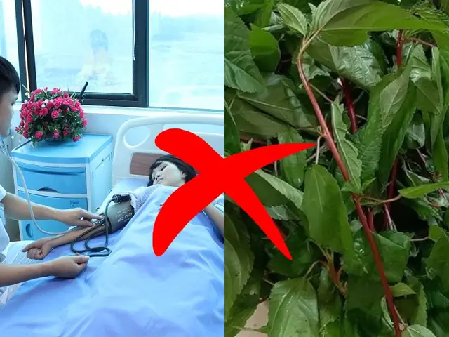 Người Vừa Phẫu Thuật