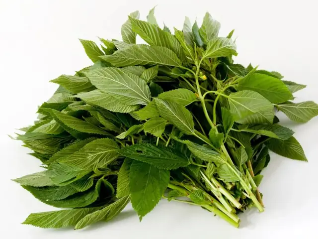 Rau Đay Kỵ Với Gì?