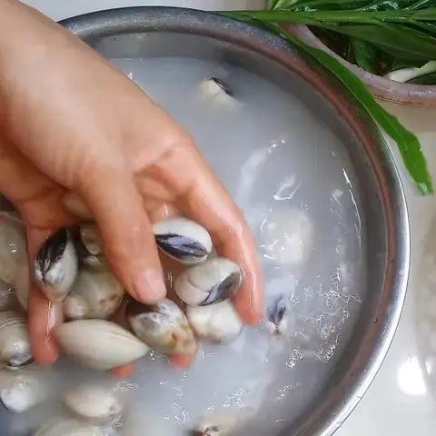 Sơ chế và luộc nghêu Sơ chế và luộc nghêu