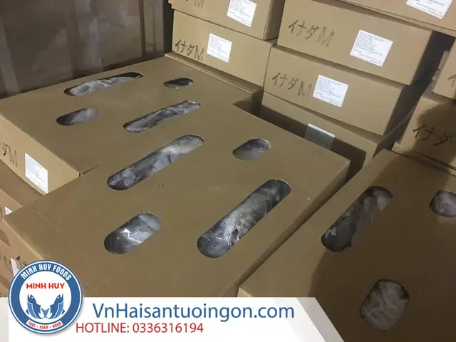 Mua cá cam ở đâu tại TpHCM? Mua cá cam ở đâu tại TpHCM?