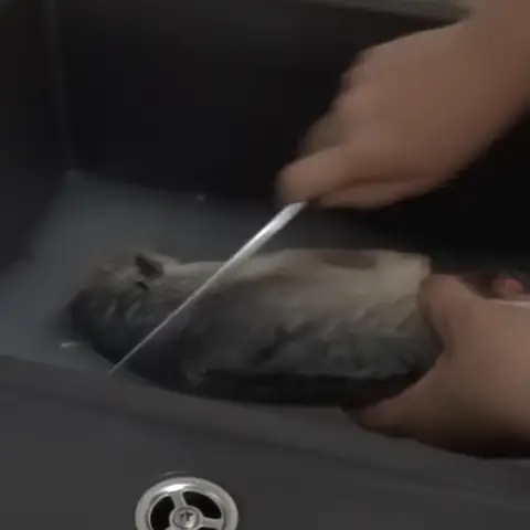 Video Đang Hot Video Đang Hot