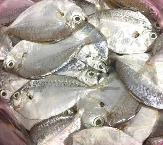 cách nấu canh ngọt cá liệt