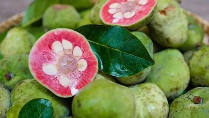 Tuy có vị chua nhưng quả này nấu món gì cũng ngon hết ý, tiếc là giờ không có nhiều.