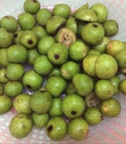 Canh Quả Sung Nấu Sao Cho Ngon Và Không Bị Chát?