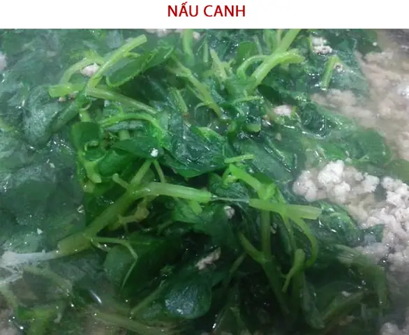 Cách nấu canh rau càng cua