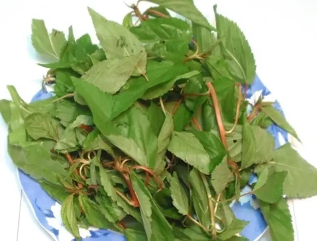 Các Bước Thực Hiện