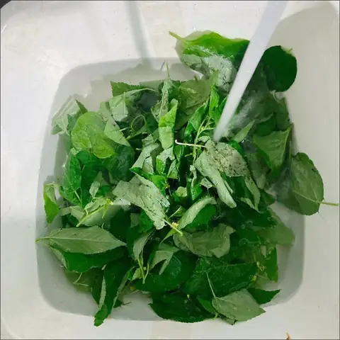 Sơ chế các nguyên liệu