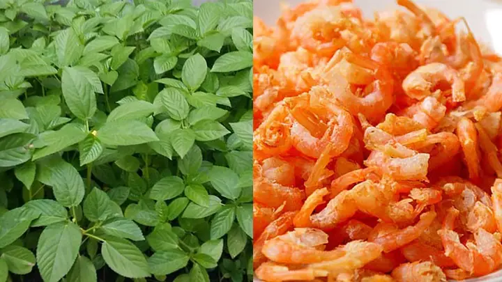 Cách chọn mua nguyên liệu tươi ngon