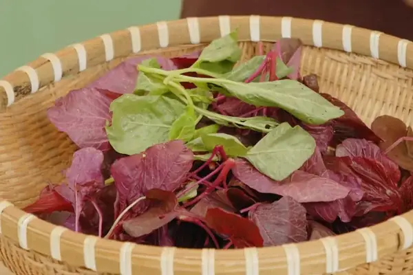 Bước 1: Nhặt Rau Dền