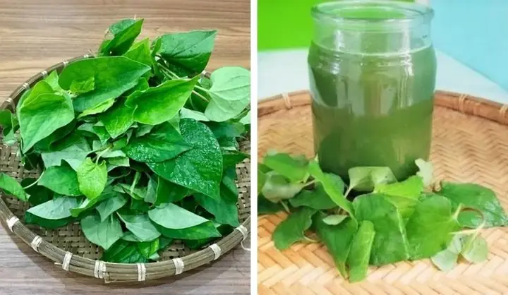 Cách Nấu Canh Rau Diếp Cá Thịt Băm Không Tanh, Giữ Trọn Vị Ngọt Mát