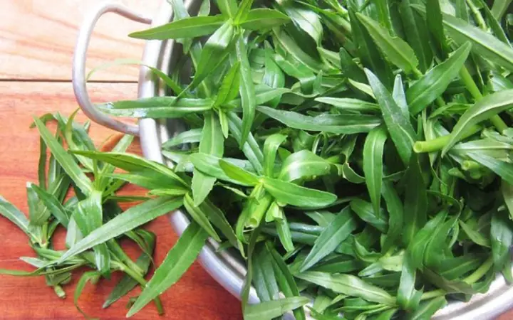 1Rau ngổ là rau gì? 1Rau ngổ là rau gì?