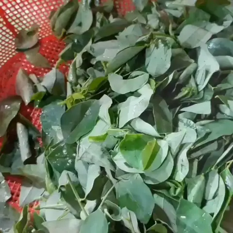 Sơ Chế Các Nguyên Liệu Sơ Chế Các Nguyên Liệu