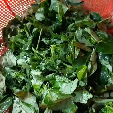 Sơ Chế Các Nguyên Liệu Sơ Chế Các Nguyên Liệu