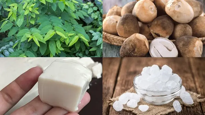 Cách Chọn Mua Nấm Rơm Ngon Cách Chọn Mua Nấm Rơm Ngon