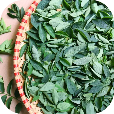 Hướng Dẫn Chọn Rau Ngót Tươi Ngon