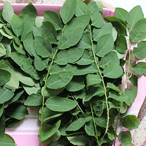 Sơ chế nguyên liệu