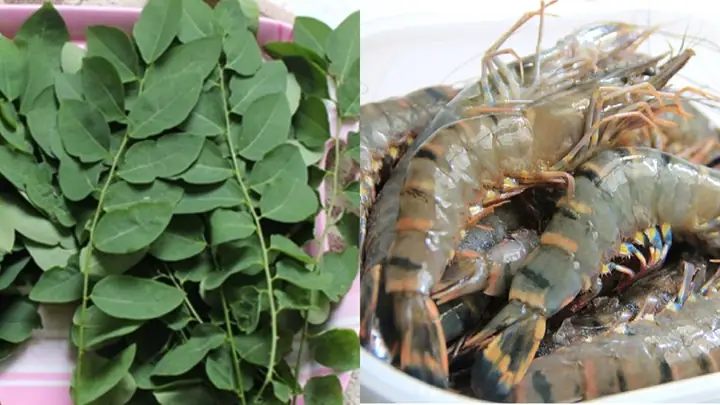 Cách Chọn Mua Tôm Tươi Ngon