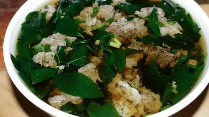 Rau Ngót Tăng Sức Đề Kháng, Hoạt Huyết, Giải Độc - Ảnh 3.