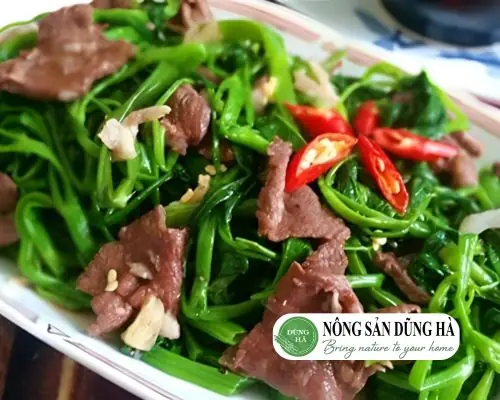 Rau Tầm Bóp Xào Thịt Bò