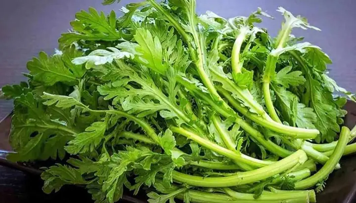 Lợi Ích Của Rau Tần Ô