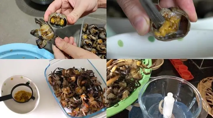 Hướng dẫn cách nấu bún riêu Hướng dẫn cách nấu bún riêu