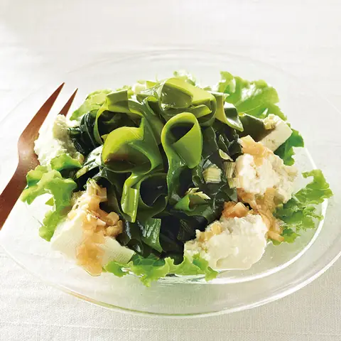 Hiroden-Wakame-1.jpg Hiroden-Wakame-1.jpg