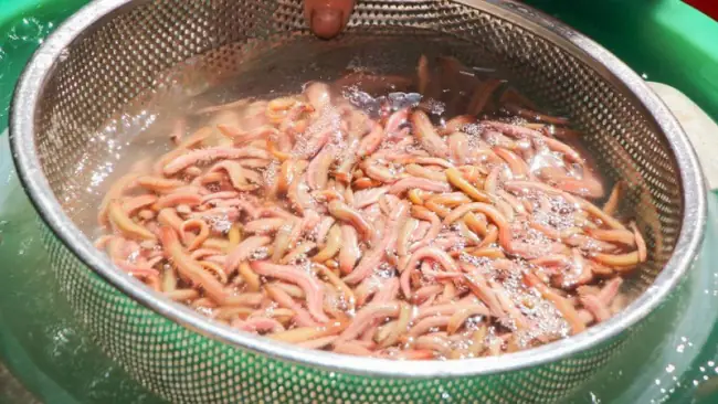 Sơ Chế Nguyên Liệu Sơ Chế Nguyên Liệu