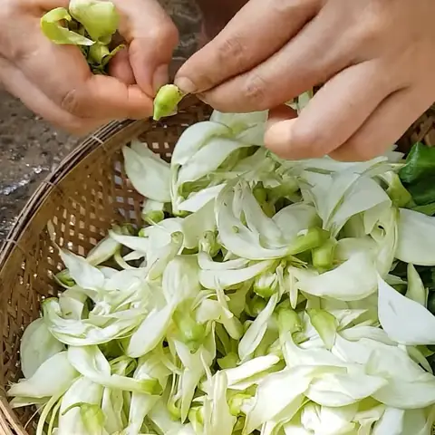 2 Cách Làm Cá Chạch Nấu Canh Chua Ngon Miệng Thanh Nhiệt Đơn Giản Tại Nhà