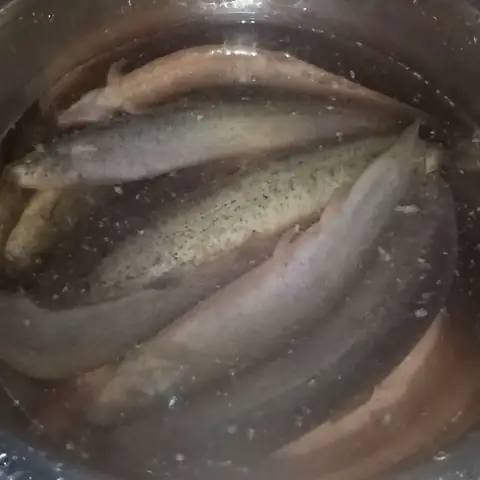 2 Cách Làm Cá Chạch Nấu Canh Chua Ngon Miệng Thanh Nhiệt Đơn Giản Tại Nhà