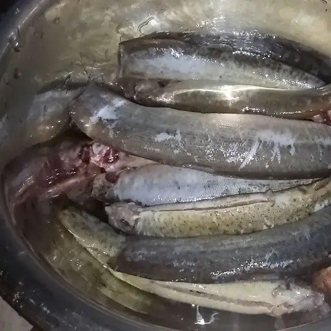 2 Cách Làm Cá Chạch Nấu Canh Chua Ngon Miệng Thanh Nhiệt Đơn Giản Tại Nhà