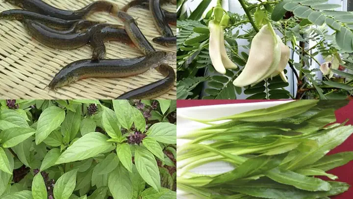 2 Cách Làm Cá Chạch Nấu Canh Chua Ngon Miệng Thanh Nhiệt Đơn Giản Tại Nhà