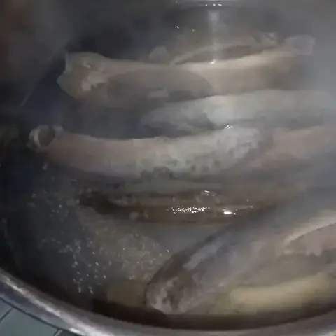 2 Cách Làm Cá Chạch Nấu Canh Chua Ngon Miệng Thanh Nhiệt Đơn Giản Tại Nhà