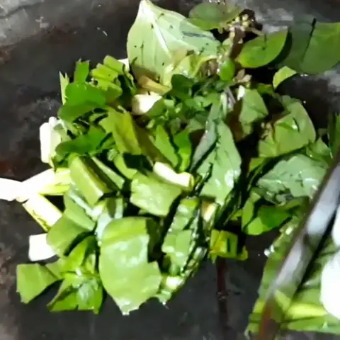 2 Cách Làm Cá Chạch Nấu Canh Chua Ngon Miệng Thanh Nhiệt Đơn Giản Tại Nhà