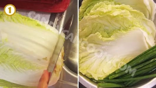 Cắt Cải Thảo, Hành Lá Rửa Sạch Để Ráo