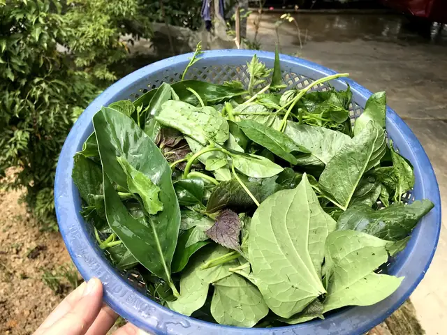 Tô Canh Tập Tàng Thơm, Cay, Chua, Ngọt, Béo, Bùi Của Người Hà Tĩnh - Ảnh 1.