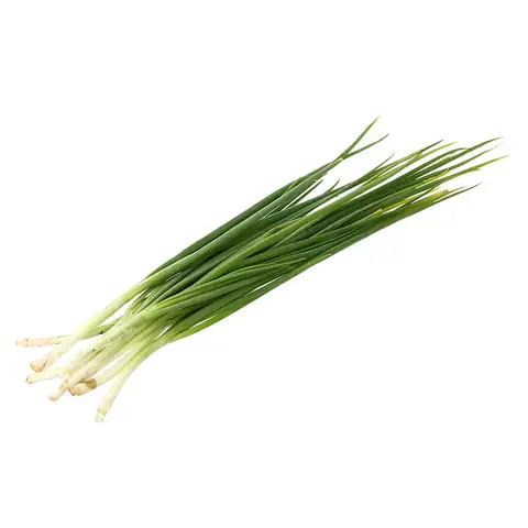 Hành Lá Đà Lạt Loại 1