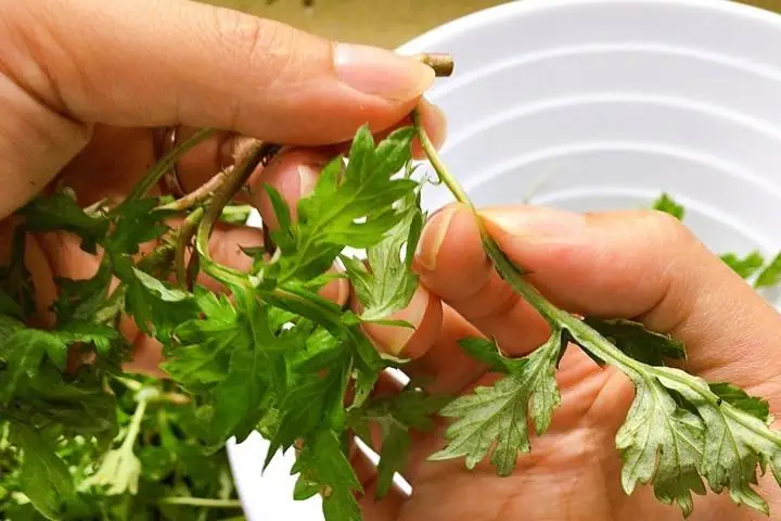 Canh Trứng Ngải Cứu