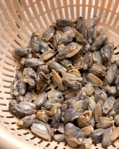 Cách Nấu Canh Trùng Trục Với Rau Cải Ngon Ngọt Tại Nhà