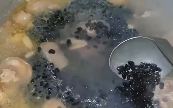 2.2. Hướng dẫn nấu canh xương bò với đỗ đen 2.2. Hướng dẫn nấu canh xương bò với đỗ đen