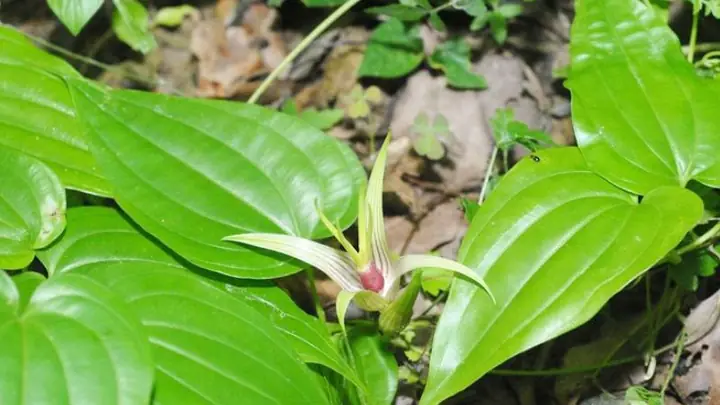 Theo y học hiện đại