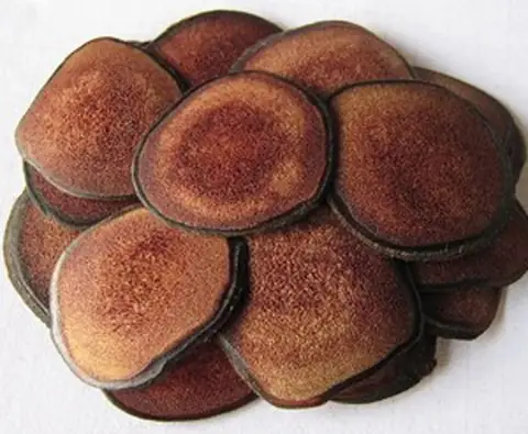 Sơ Chế Dược Liệu Nấu Cao Sơ Chế Dược Liệu Nấu Cao